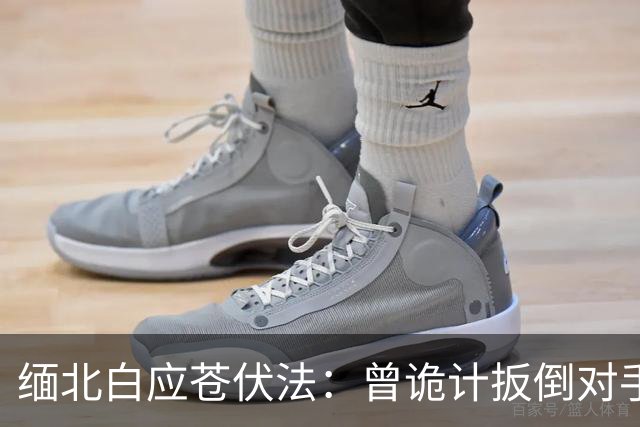 缅北白应苍伏法：曾诡计扳倒对手，生日众星祝贺，狂言死磕某大国